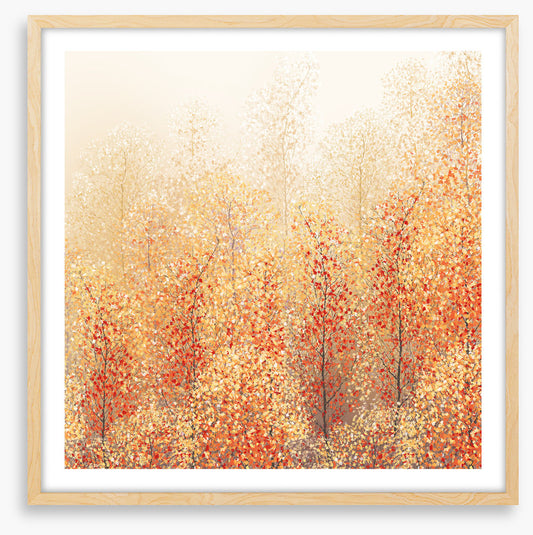 All about autumn
