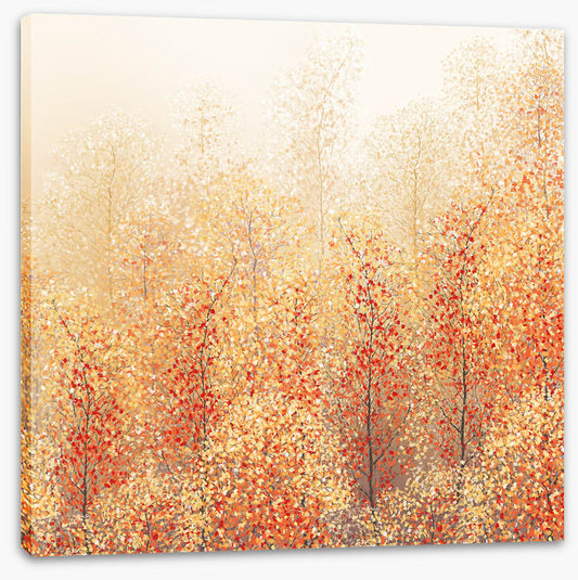 All about autumn