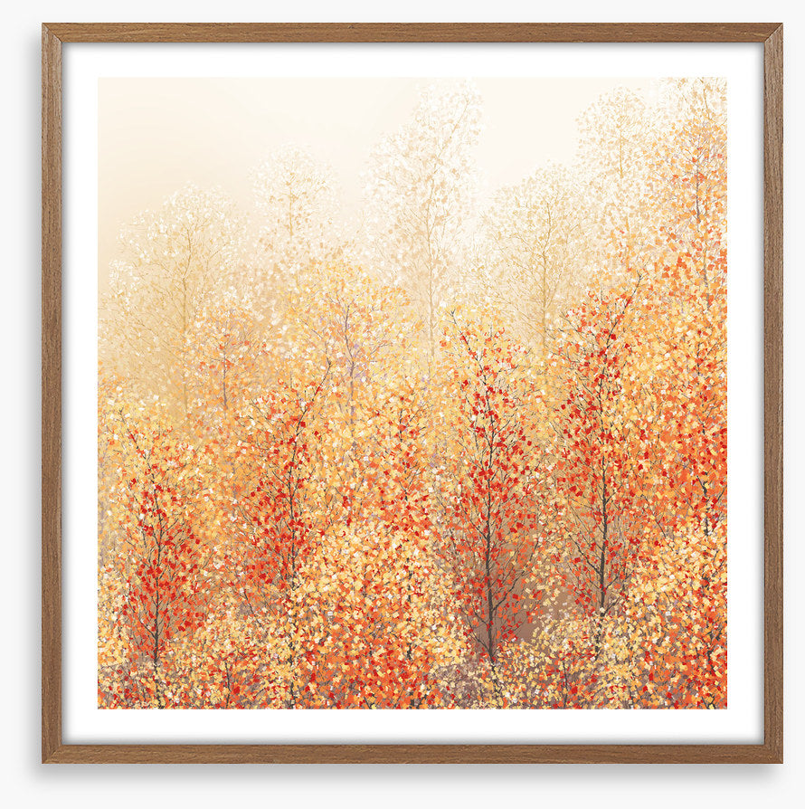 All about autumn