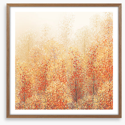 All about autumn