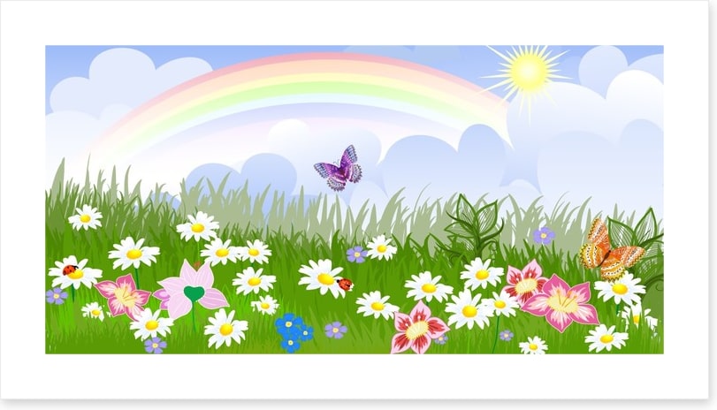 Rainbow meadow