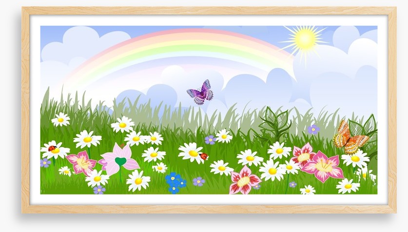 Rainbow meadow