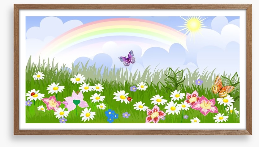 Rainbow meadow