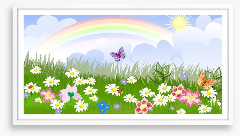 Rainbow meadow