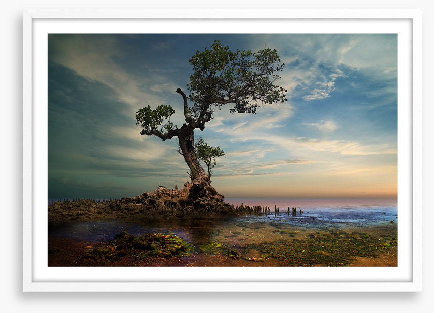 By the twisted pine