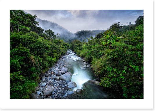 South America