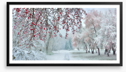 Behind the berries