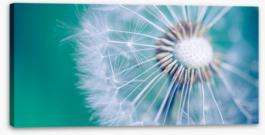 Spring wish