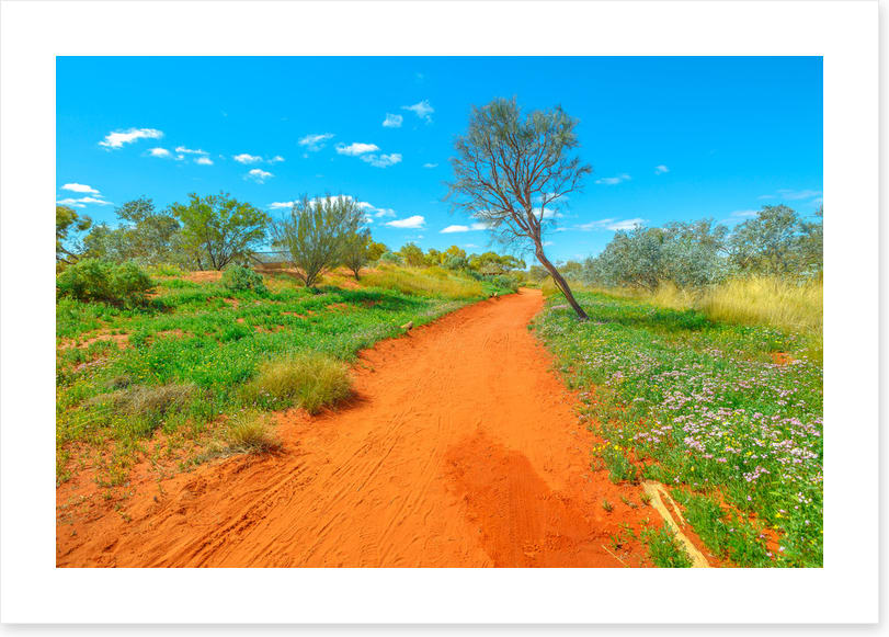 Red earth spring