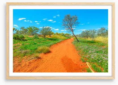 Red earth spring