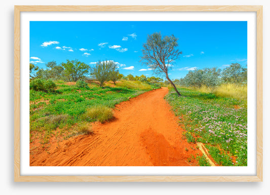 Red earth spring