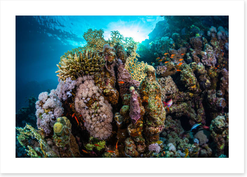 Underwater