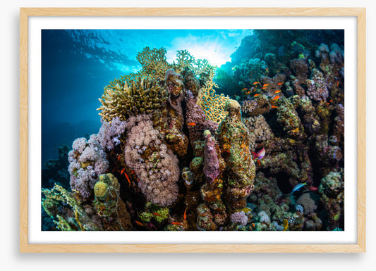 Underwater