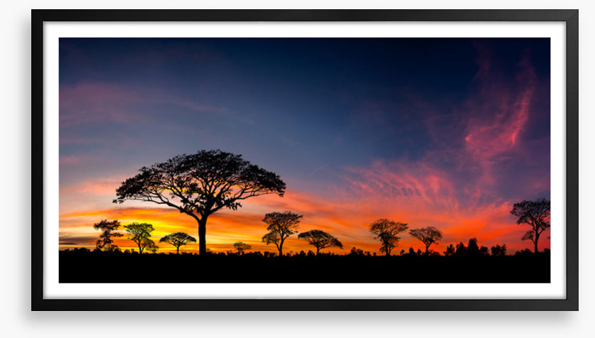 Setting sun silhouettes