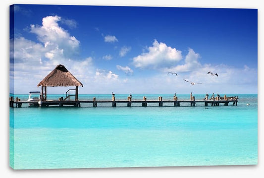 Pelican jetty, Isla Contoy