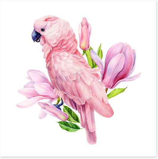 Pink parrot magnolia