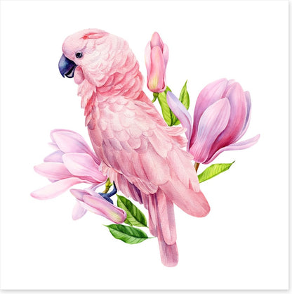 Pink parrot magnolia