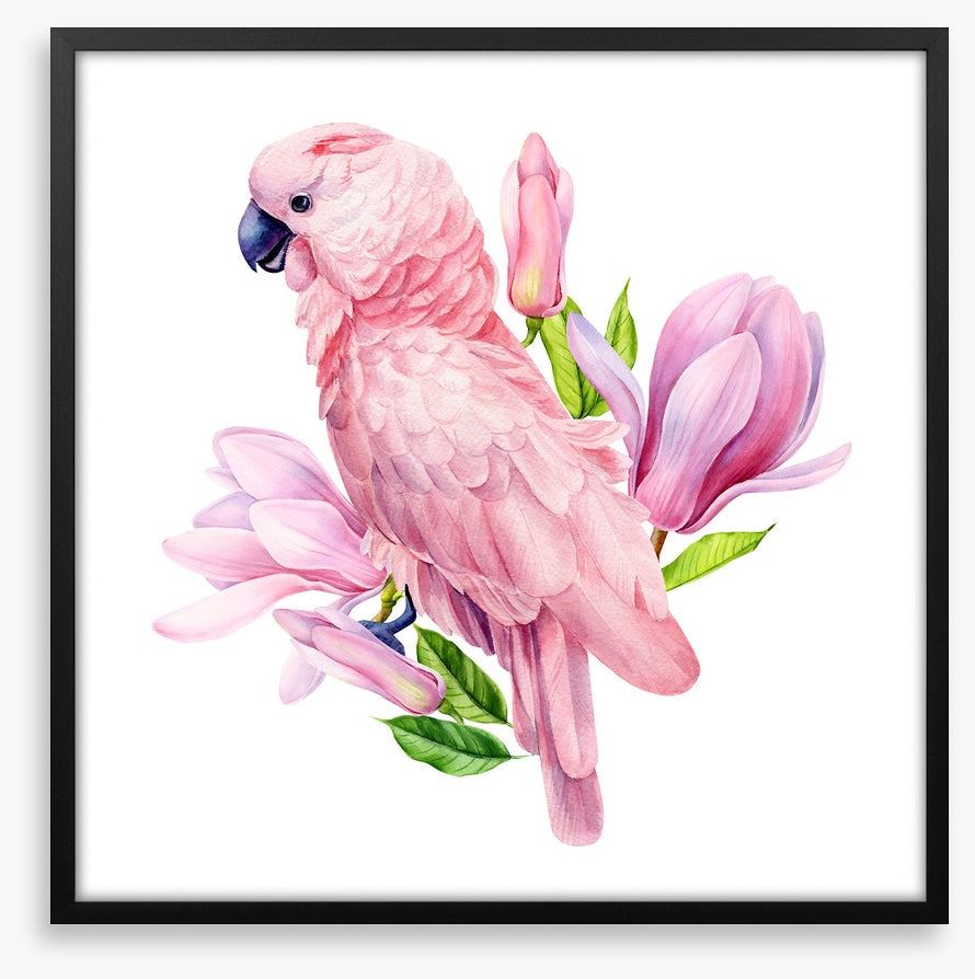 Pink parrot magnolia