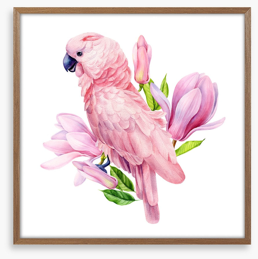 Pink parrot magnolia