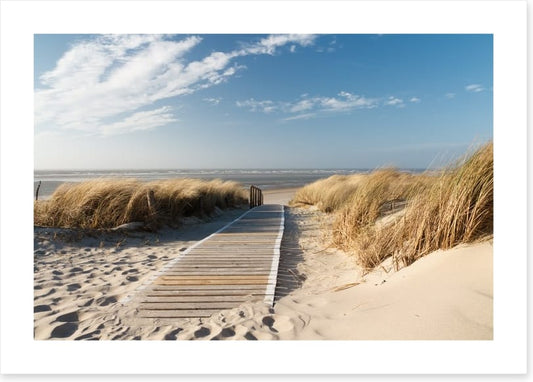 Boardwalk to the beach