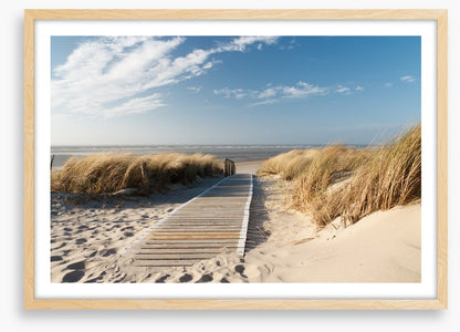 Boardwalk to the beach