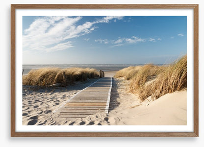 Boardwalk to the beach