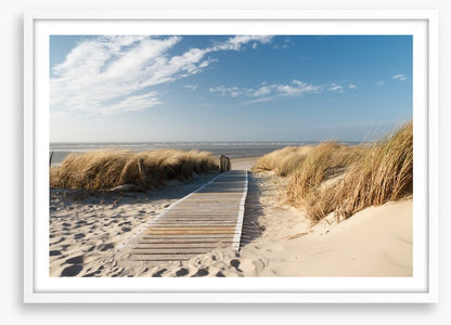 Boardwalk to the beach