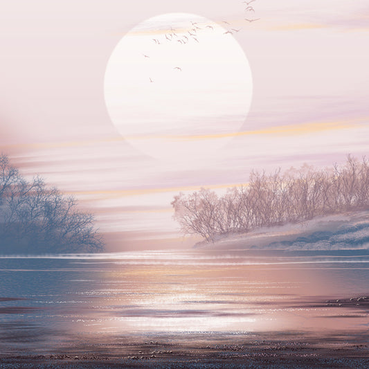 Before the sun sets