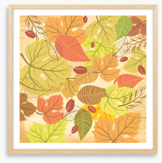 Leaf