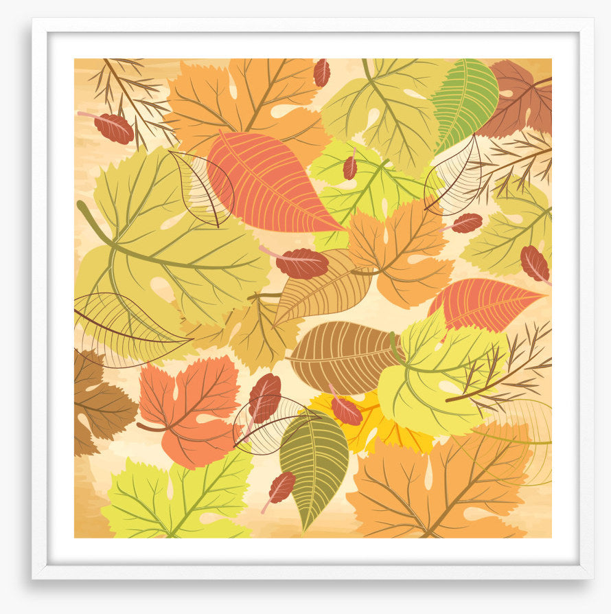 Leaf