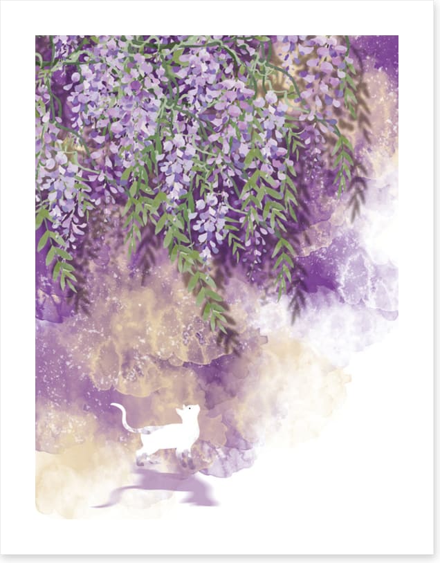 White cat wisteria
