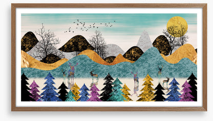 Landscapes