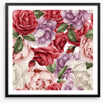 Rosy nostalgia
