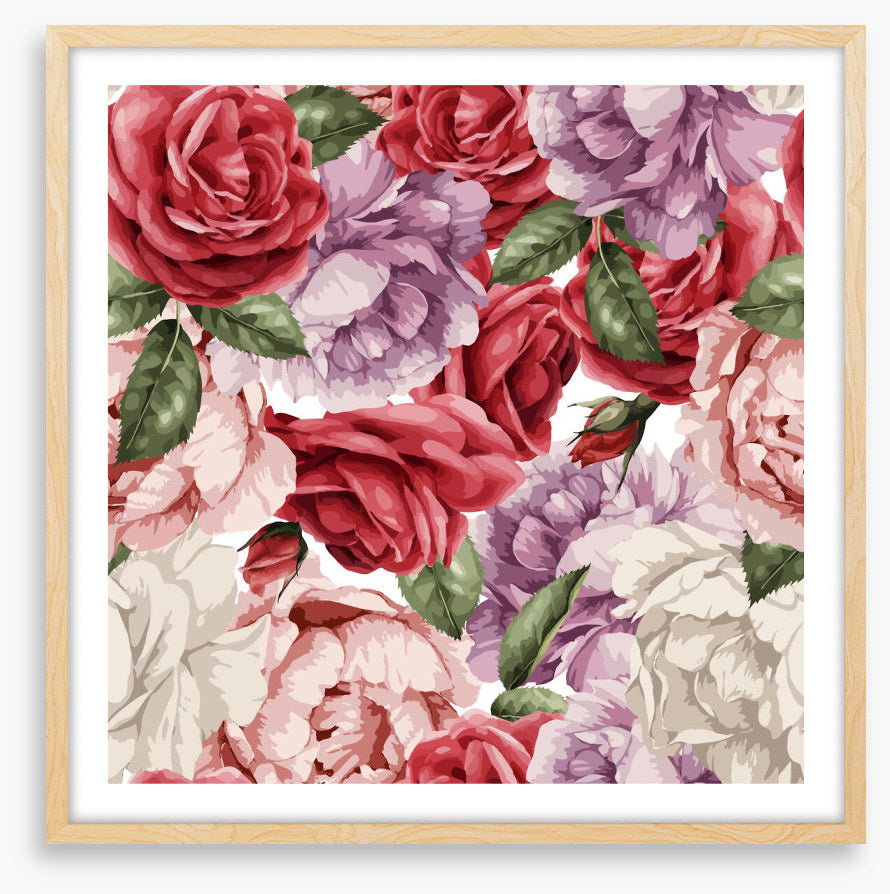 Rosy nostalgia