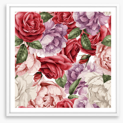 Rosy nostalgia