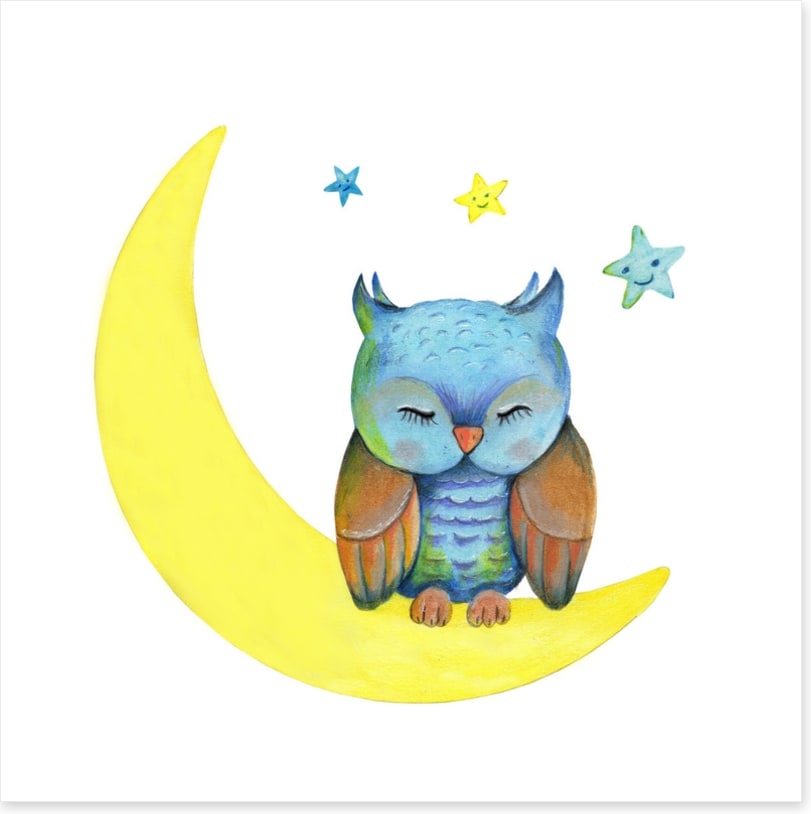 Owls