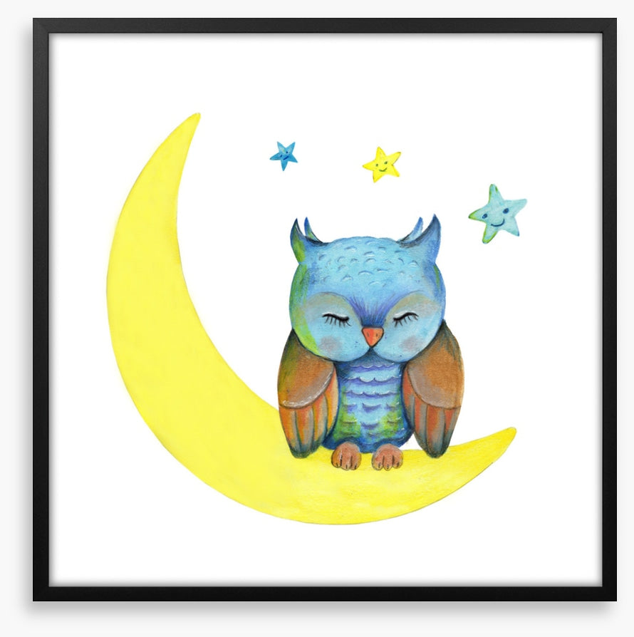 Owls