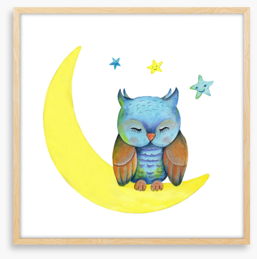 Owls