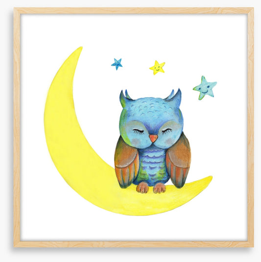 Owls