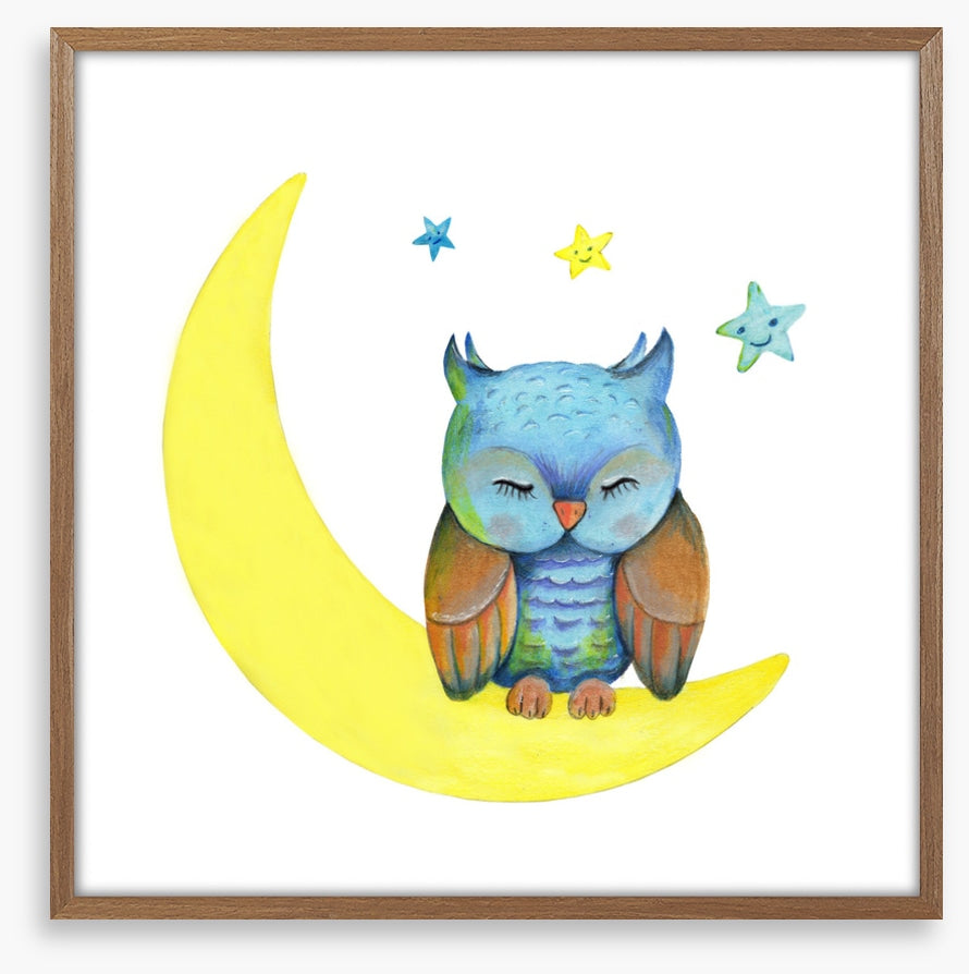 Owls