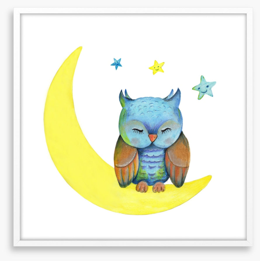 Owls