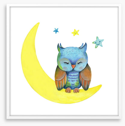 Owls