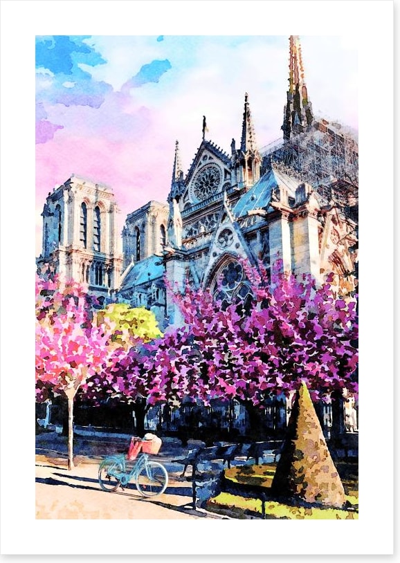 Notre Dame sunlight
