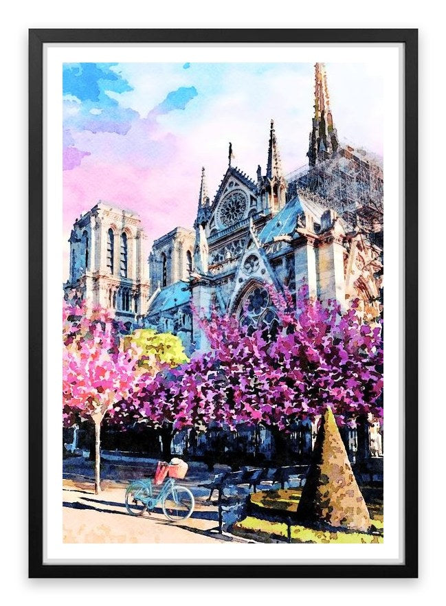 Notre Dame sunlight