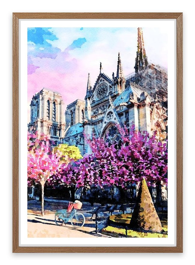 Notre Dame sunlight