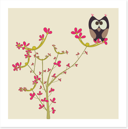 Owls