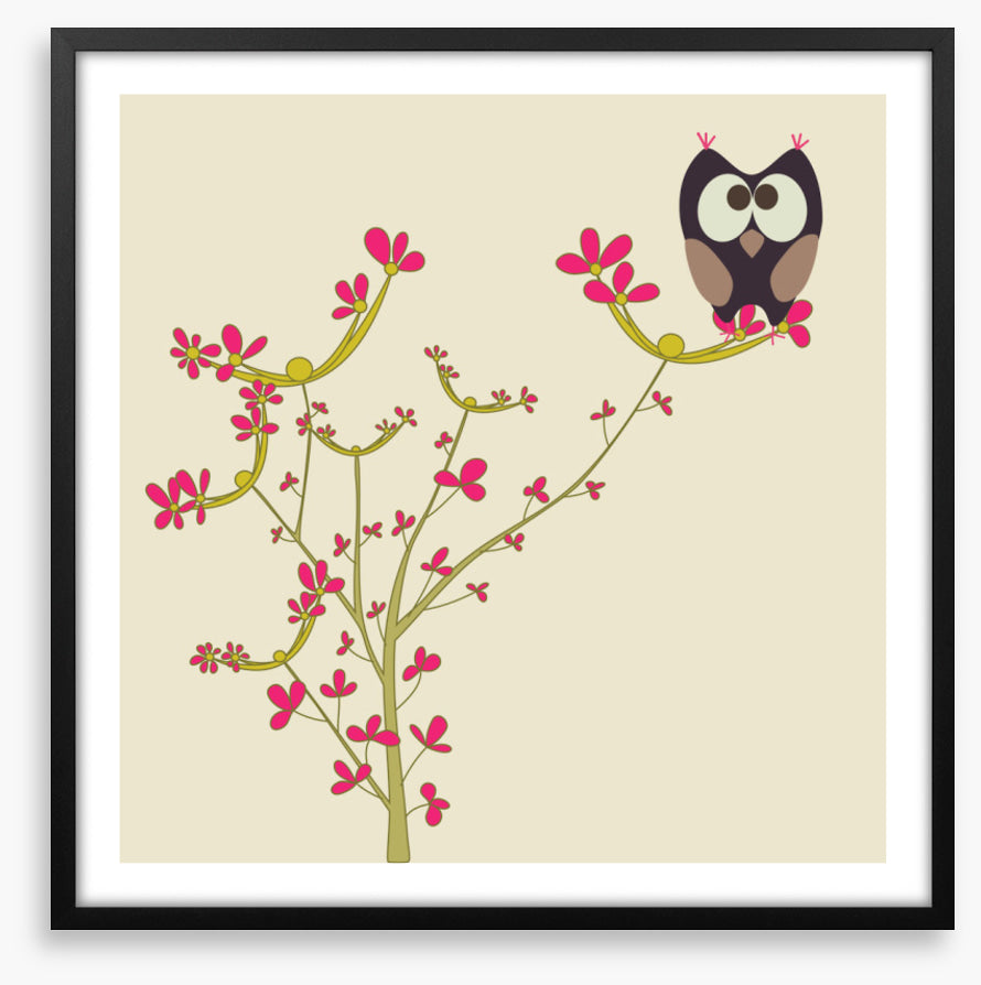 Owls