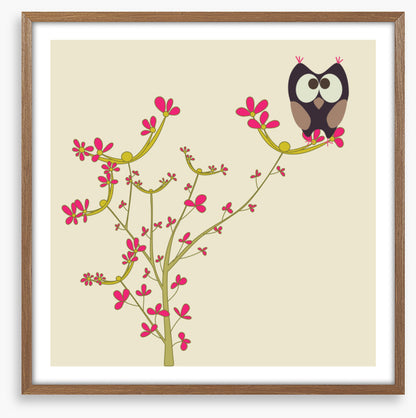Owls