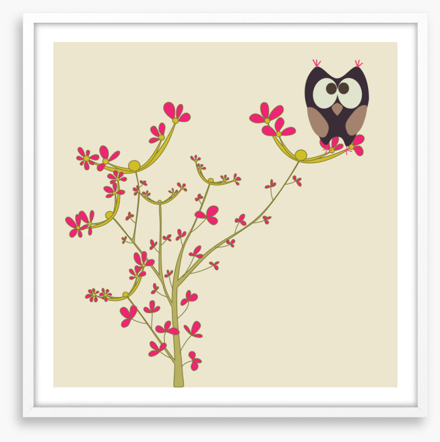 Owls