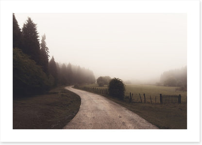 Way through winter